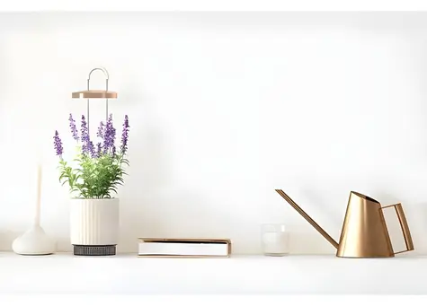SMART GARDEN 1 Hydrovase bílá / Chytrý hydroponický květináč