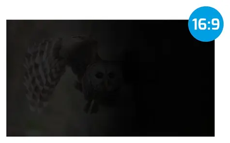 Natec Owl 14