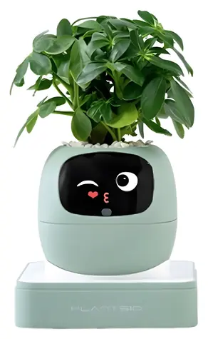 PlantsIO IVY gen 2 zelená / Chytrý květináč