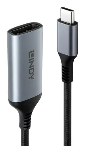 Lindy USB-C na DisplayPort 8K60 šedo-černá / Adaptér / HDR / 0,15 m