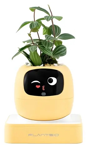 PlantsIO IVY gen 2 žlutá / Chytrý květináč