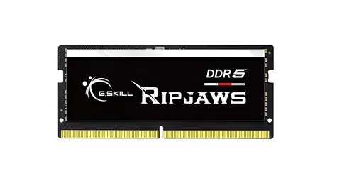 G.Skill Ripjaws SO-DIMM DDR5 64GB (1x64GB) 5600MHz / Operační paměť / Pro notebooky / CL46 / 1,1V / XMP 3.0