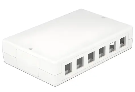 Delock Keystone Box 12-portová / Instalační box / bez osazení