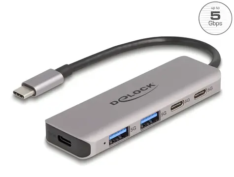 DeLock USB Hub 2 porty / USB hub / USB-C / 5 Gbps