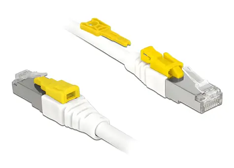 Delock Kabel RJ45 Secure / Patch kabel / Cat.6A / S/FTP / 2 m