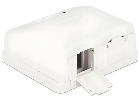 Delock Keystone box 2-portový s prachovou clonou / Keystone box / 2 porty / Prachová clona