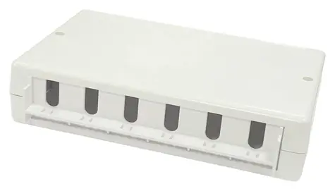 Lanview Datová zásuvka 6x RJ45 bílá / Datová zásuvka / Povrchová montáž / 6 portů / plast