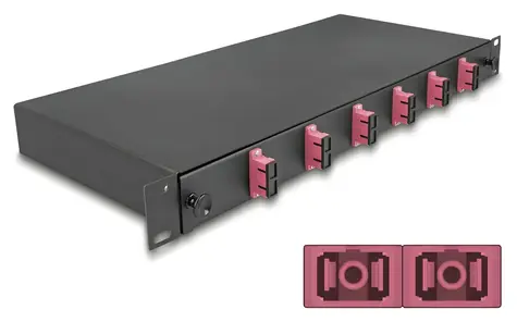 Delock LWL spojovací box 6x SC Duplex OM4 / Optický spojovací box / Rack 19