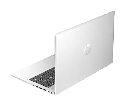 HP ProBook 455 G10 stříbrná / 15.6