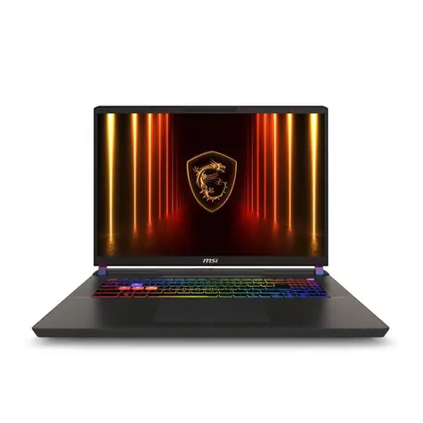 MSI Vector 17 HX AI A2XWJG-031CZ šedá / 17