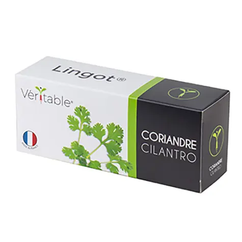 Véritable Bio semínka koriandru / pro chytré květináče Véritable