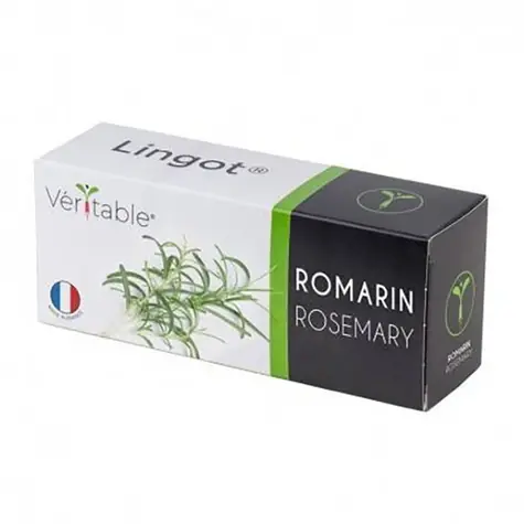 Véritable Bio semínka rozmarýnu / pro chytré květináče Véritable