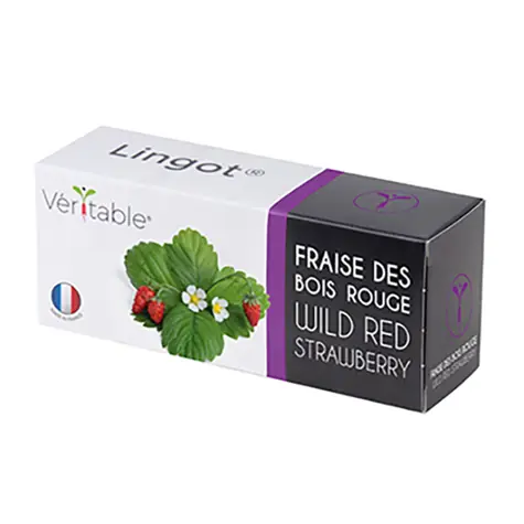 Véritable semínka lesní jahody / pro chytré květináče Véritable