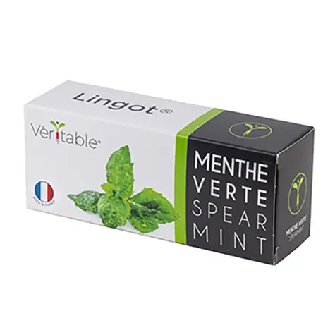 Véritable semínka máty / pro chytré květináče Véritable