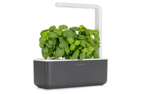 Click And Grow Smart Garden 3 tmavě šedá / Chytrý květináč / automatické zavlažování / 3x pěstovací kapsle (bazalka)