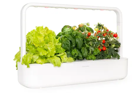 Click And Grow Smart Garden 9 bílá / Chytrý květináč / automatické zavlažování / 3x rajčátka / 3x bazalka / 3x salát