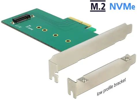 DeLock PCI Express x4 Karta > 1 x internal NVMe M.2 Key M 110 mm - Low Profile Form Factor