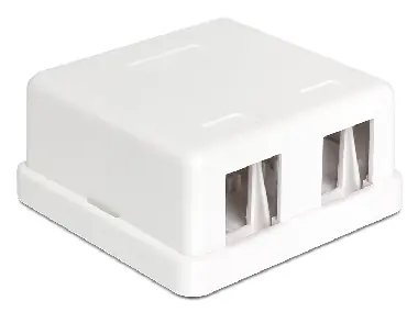 Delock Keystone Box pro 2 porty / na stěnu