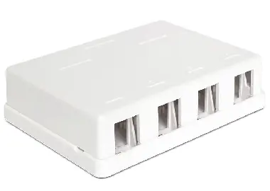 Delock Keystone Box 4-portový / na stěnu