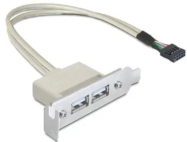 Delock záslepka do slotu USB 2.0 low profile / 2 porty