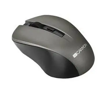 CANYON CNE-CMSW1G / optická bezdrátová / 800/1000/1200 dpi / USB / šedá