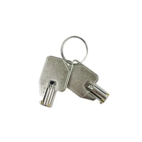 QNAP KEY-HDDTRAY-01 / klíček k zamykání HDD rámečku / 2kusy
