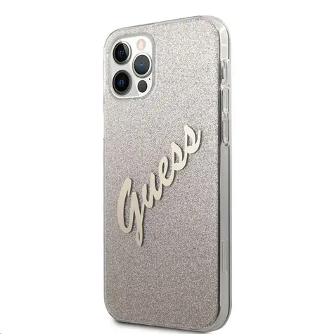 GUESS PC & TPU Vintage Zadní Kryt pro Apple iPhone 12 Pro Max Gradient zlatá