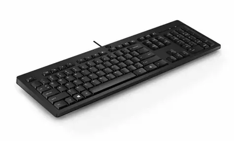 HP 125 drátová klávesnice CZ černá / Drátová klávesnice / USB-A / CZ&SK layout