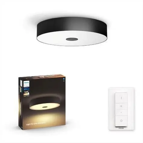 Philips Hue WA Fair stropní LED svítidlo 1x25W černá / 2900lm / 2200-6500K / IP20 / ovladač
