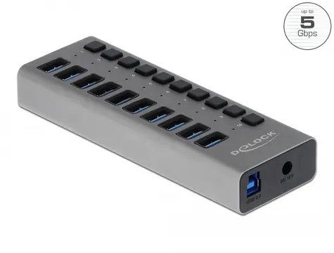 Delock Externí SuperSpeed USB Hub šedá / 10 portů