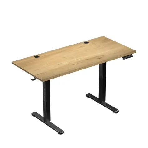 Mark Adler Leader 7.0 / Kancelářský elektrický stůl / 120 x 60 x 72-118 cm 