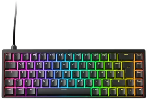 Endgame Gear KB65HE 8k Gaming Tastatur černá / Herní klávesnice / Spínače: Raesha Silent / USB-A / DE layout / 65% / RGB