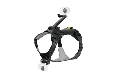 Rozbaleno - Insta360 Držák pro akční kameru na postroj domácího mazlíčka (Velikost S) / rozbaleno