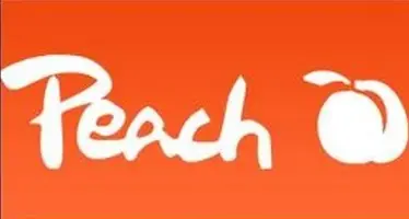 Peach alternativní cartridge Brother LC-3213 černá / pro DCP-J772 & MFC-J890 / 11ml / new chip