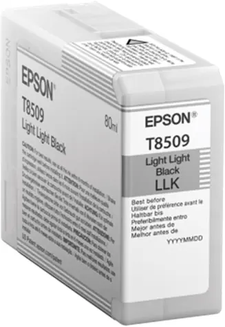 EPSON originální cartridge T850900 UltraChrome HD světlejší černá / 80ml 