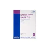 EPSON Paper A2 Premium Glossy Photo  (25 sheets)